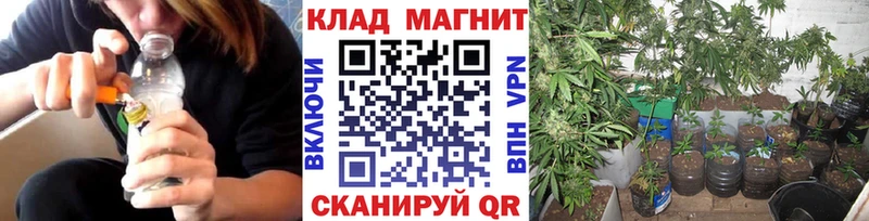 Где продают наркотики Сланцы Гашиш  Канабис  Меф мяу мяу 