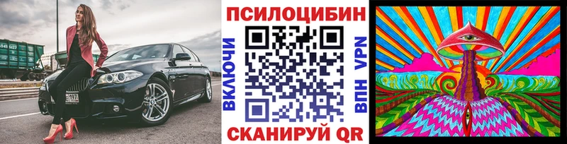 где купить наркоту  omg как зайти  Псилоцибиновые грибы мухоморы  Сланцы 
